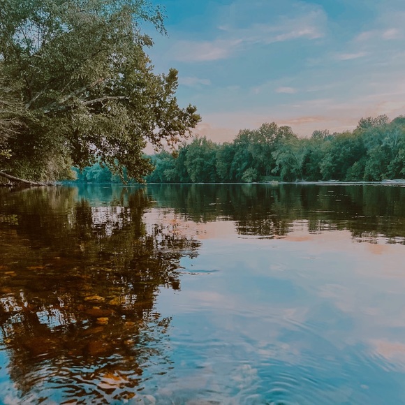 Meet your Posher, Elle - Picture 5 of 5